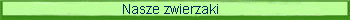 Zwierzaki